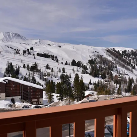Chaleureux à Belle Plagne, Animaux Admis - Fr-1-181-2074 * La Plagne-Tarentaise